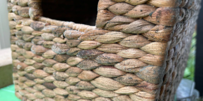 Whose responsibility is mould in a rental home and how should a tenant deal with it?