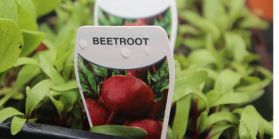 As the cost of living surges, home-grown fruit and vegetables are something to 'fall back on'