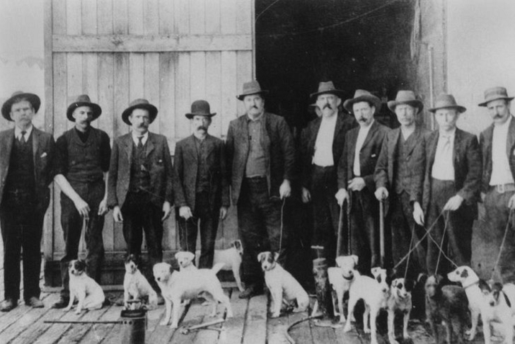 From the Archives, 1921: Bubonic plague outbreak in Brisbane