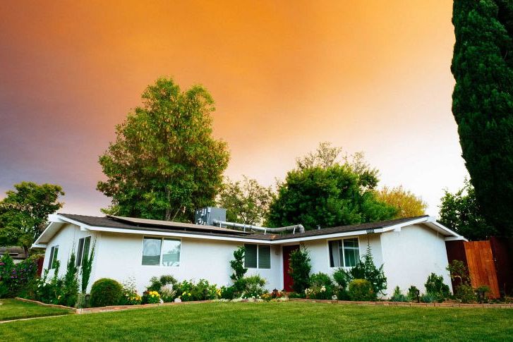 Lawn, garden and tree maintenance advice for those taking control of their first backyard