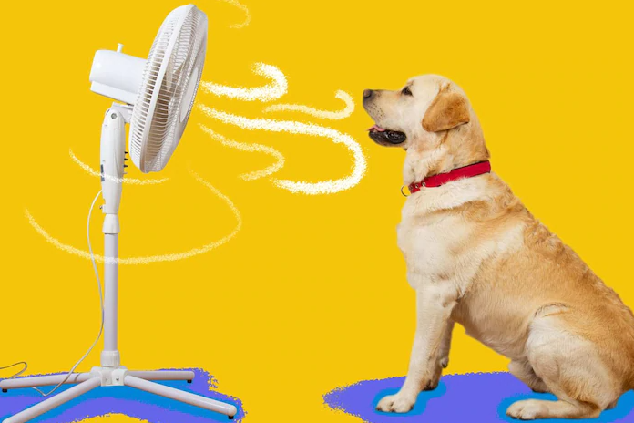 Hot tips to reduce the cost of electricity bills over summer