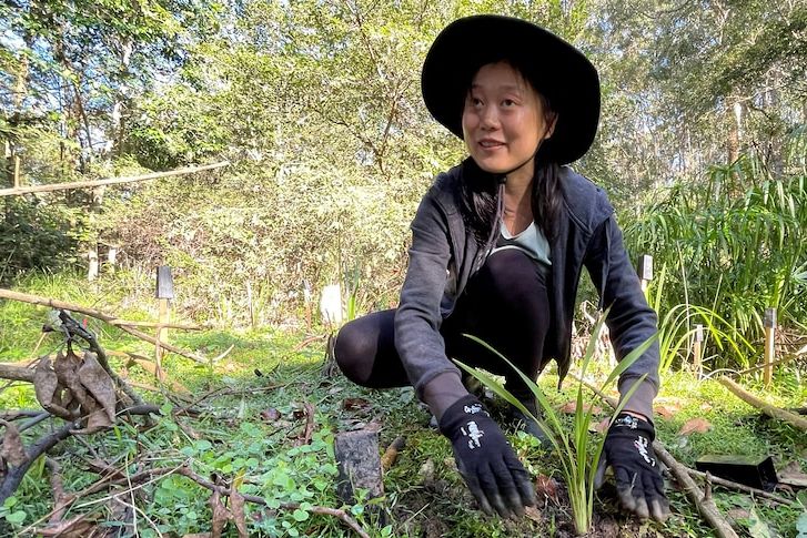 Brisbane's nature reserves in good hands with these earnest volunteers